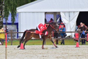 20160731 132548-3